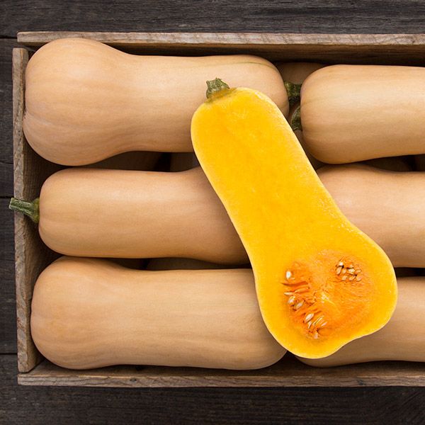 Nutterbutter Butternut