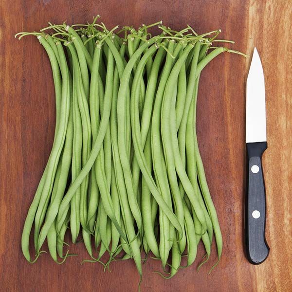 Haricot Vert